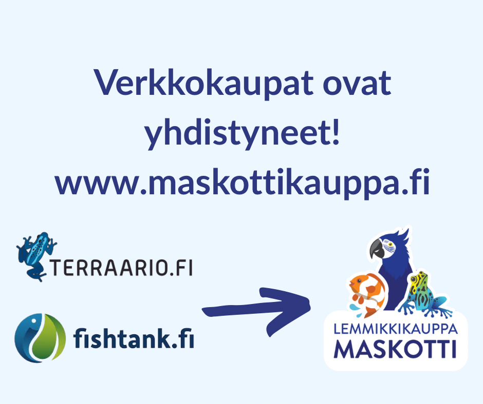 Maskotti on auennut!